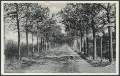 17035 Gezicht op het fietspad naar Hilversum van de U.M.O. (Rijwielpadvereniging Utrecht met Omstreken) in de omgeving ...